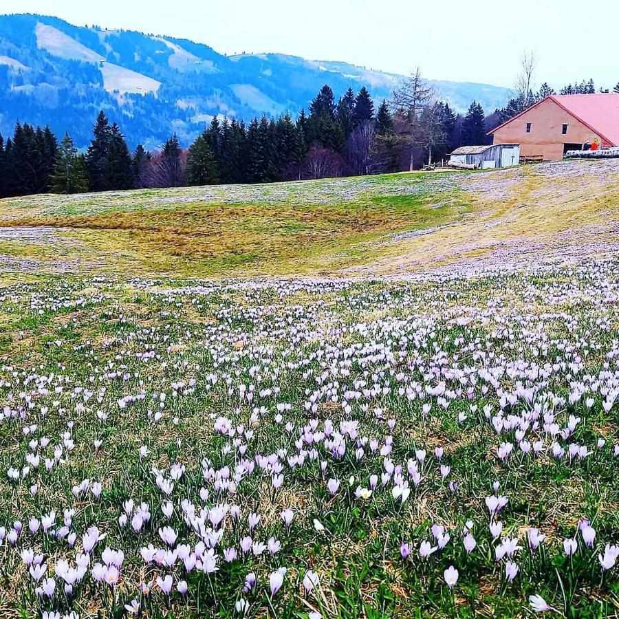 Landhaus Eibelesee Oberstaufen Exteriör bild