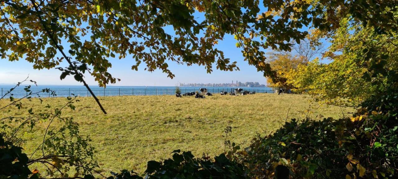 Landhaus Eibelesee Oberstaufen Exteriör bild