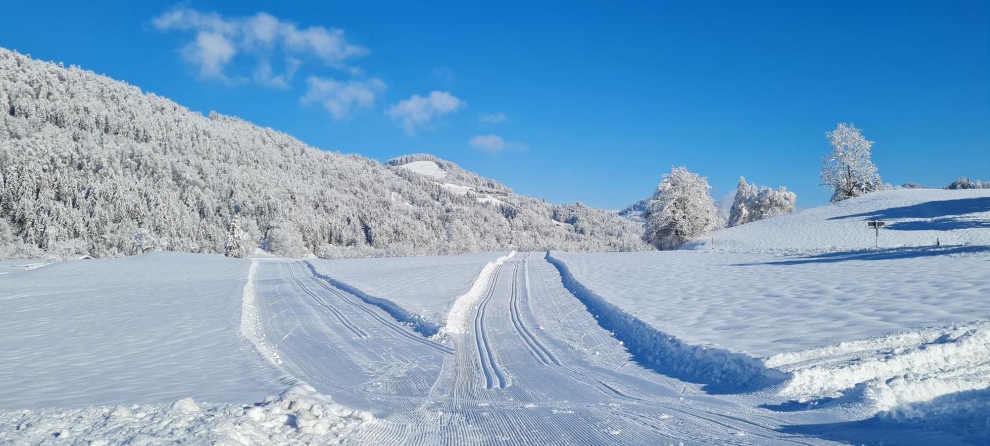 Landhaus Eibelesee Oberstaufen Exteriör bild