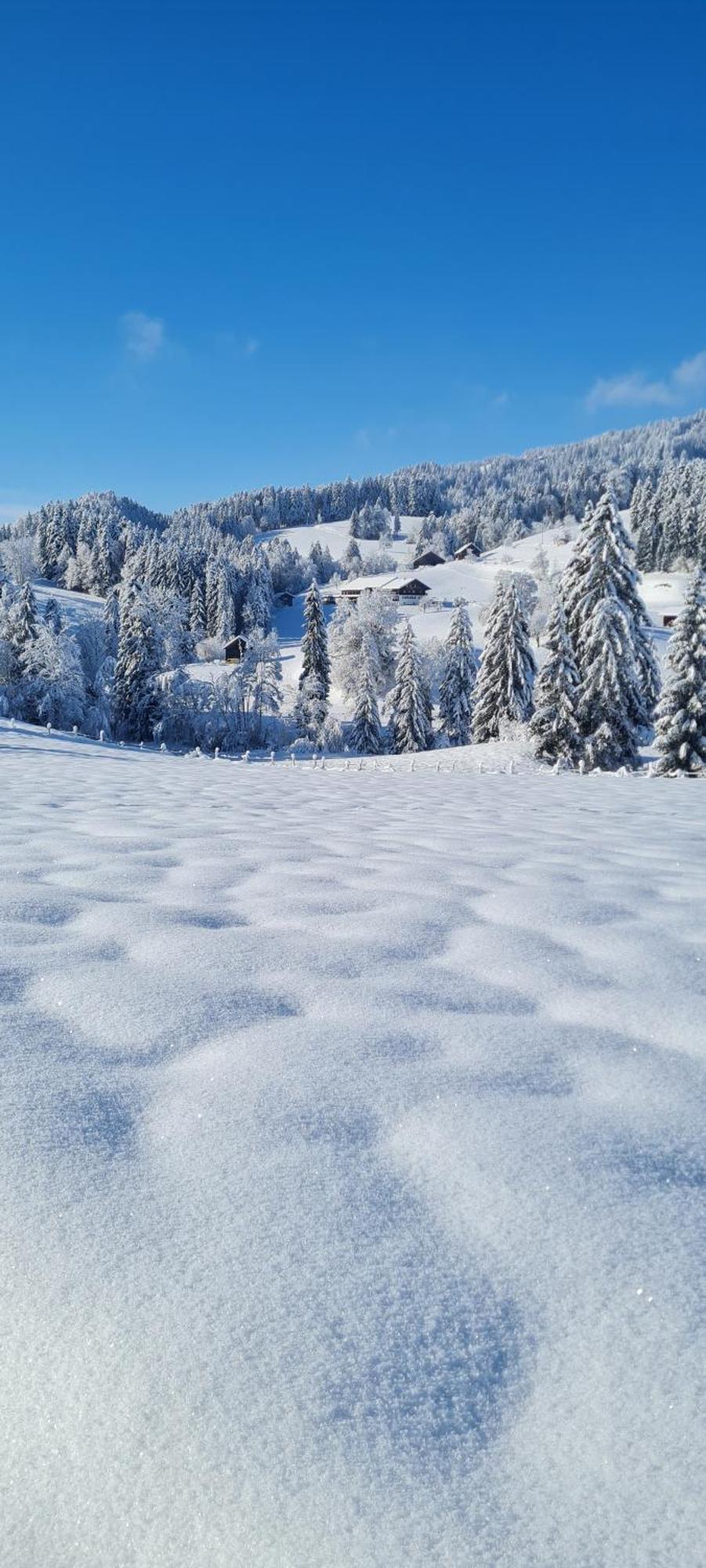 Landhaus Eibelesee Oberstaufen Exteriör bild