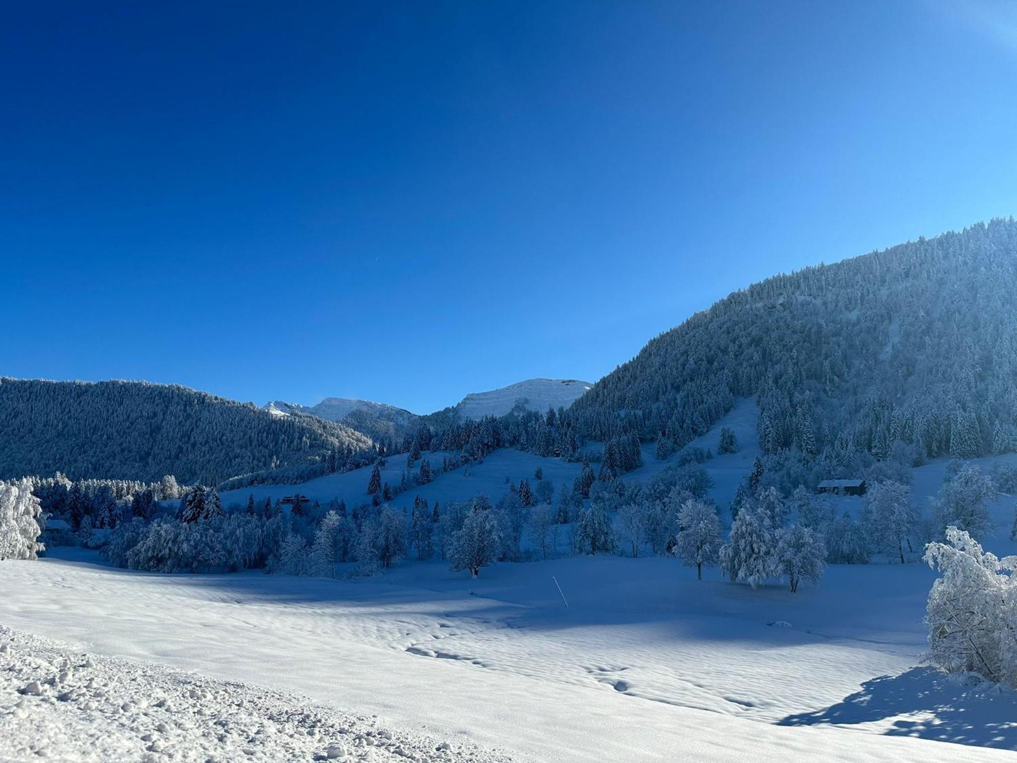 Landhaus Eibelesee Oberstaufen Exteriör bild
