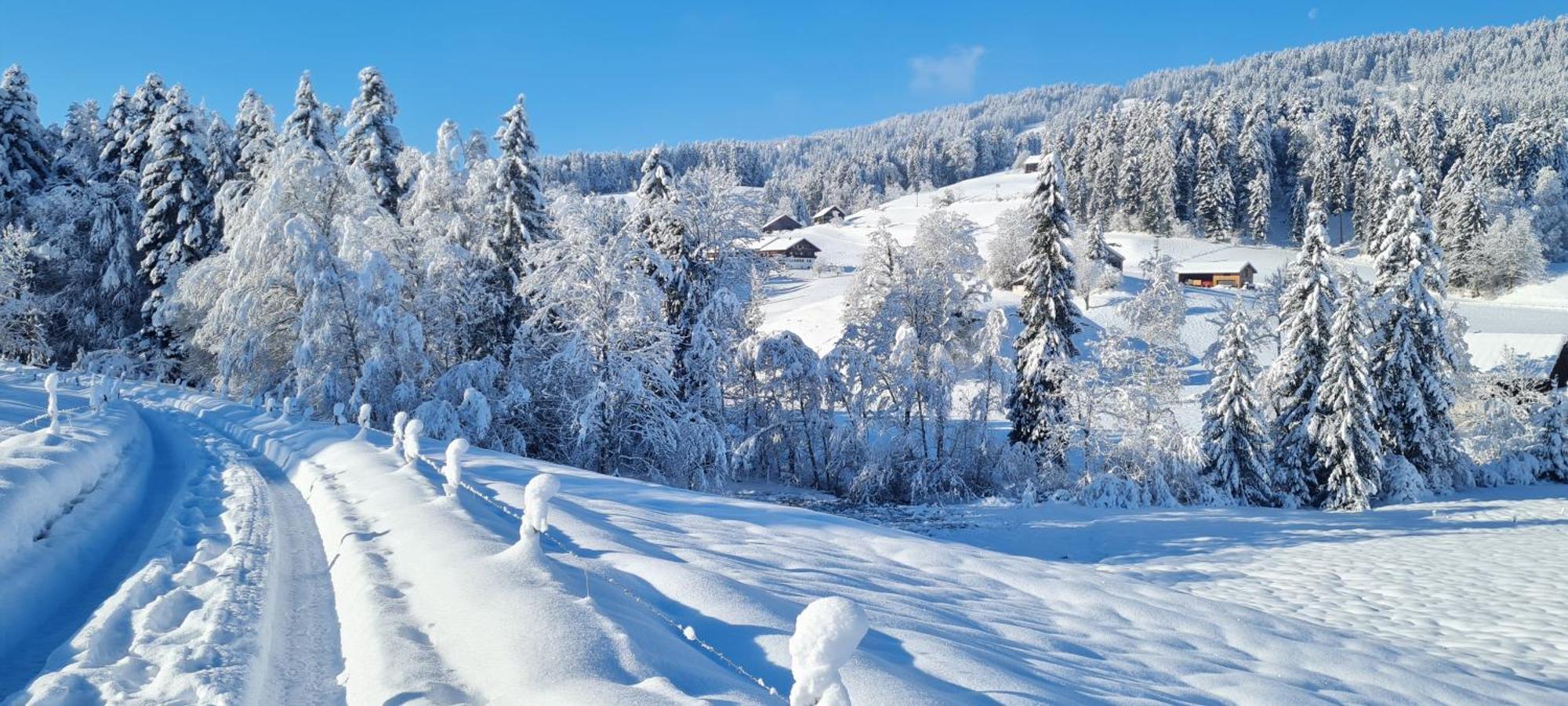 Landhaus Eibelesee Oberstaufen Exteriör bild
