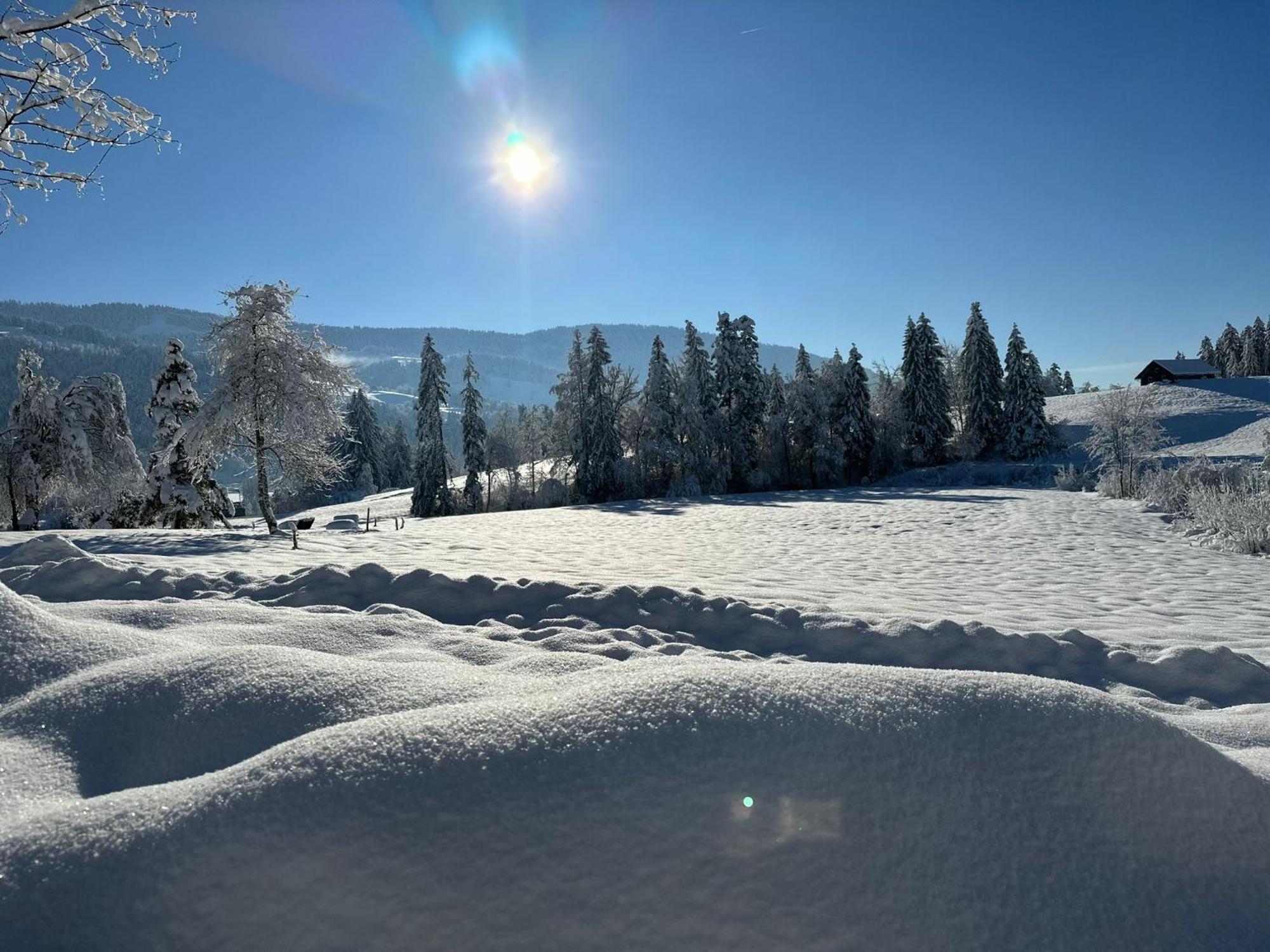 Landhaus Eibelesee Oberstaufen Exteriör bild