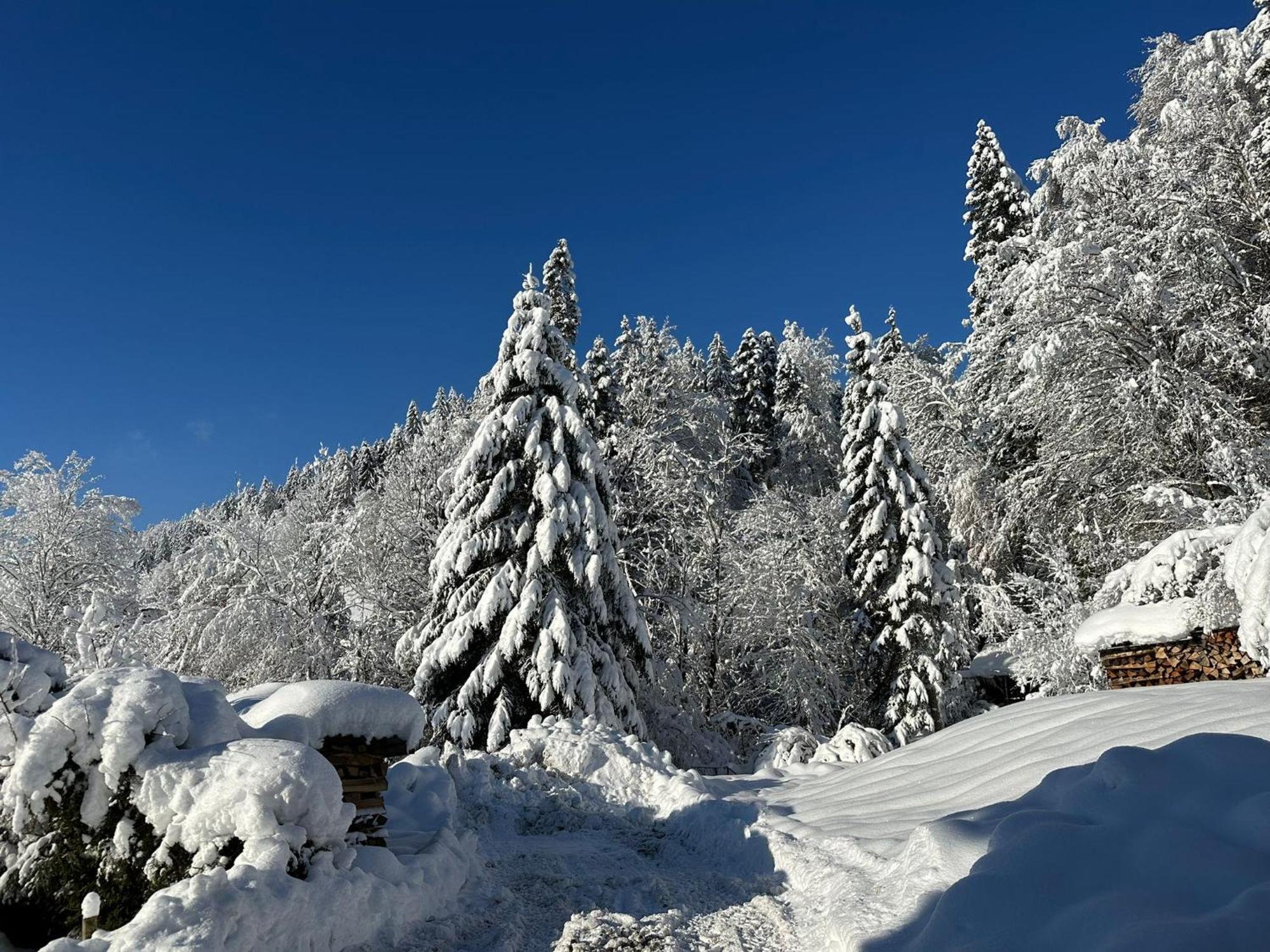 Landhaus Eibelesee Oberstaufen Exteriör bild