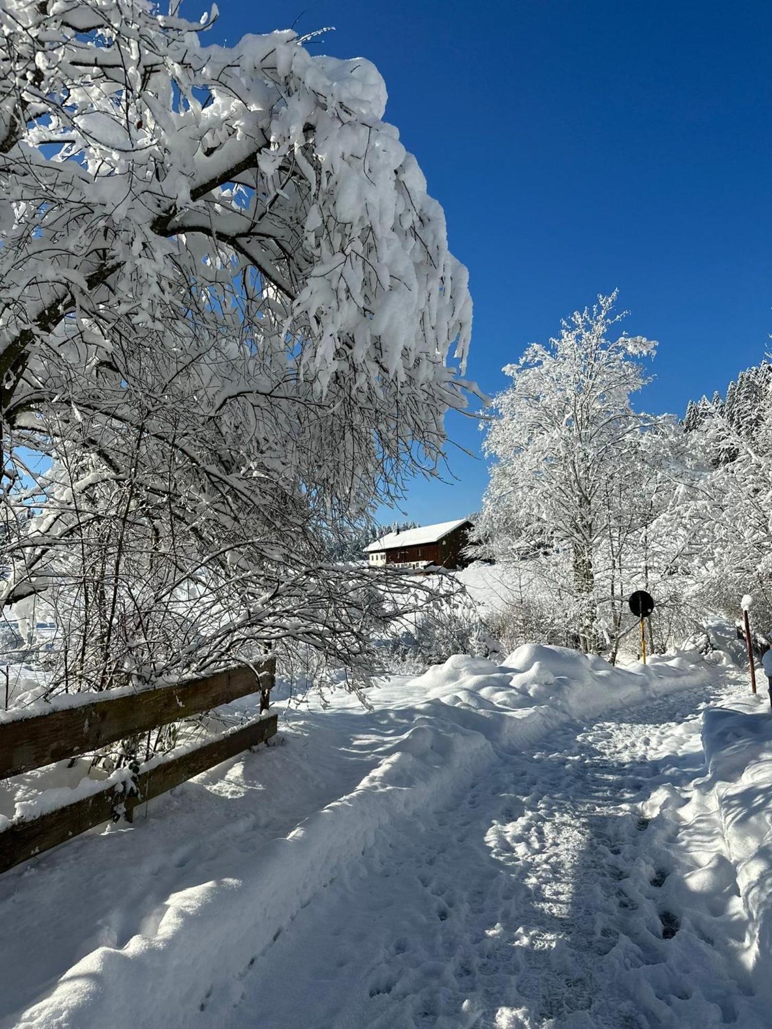 Landhaus Eibelesee Oberstaufen Exteriör bild