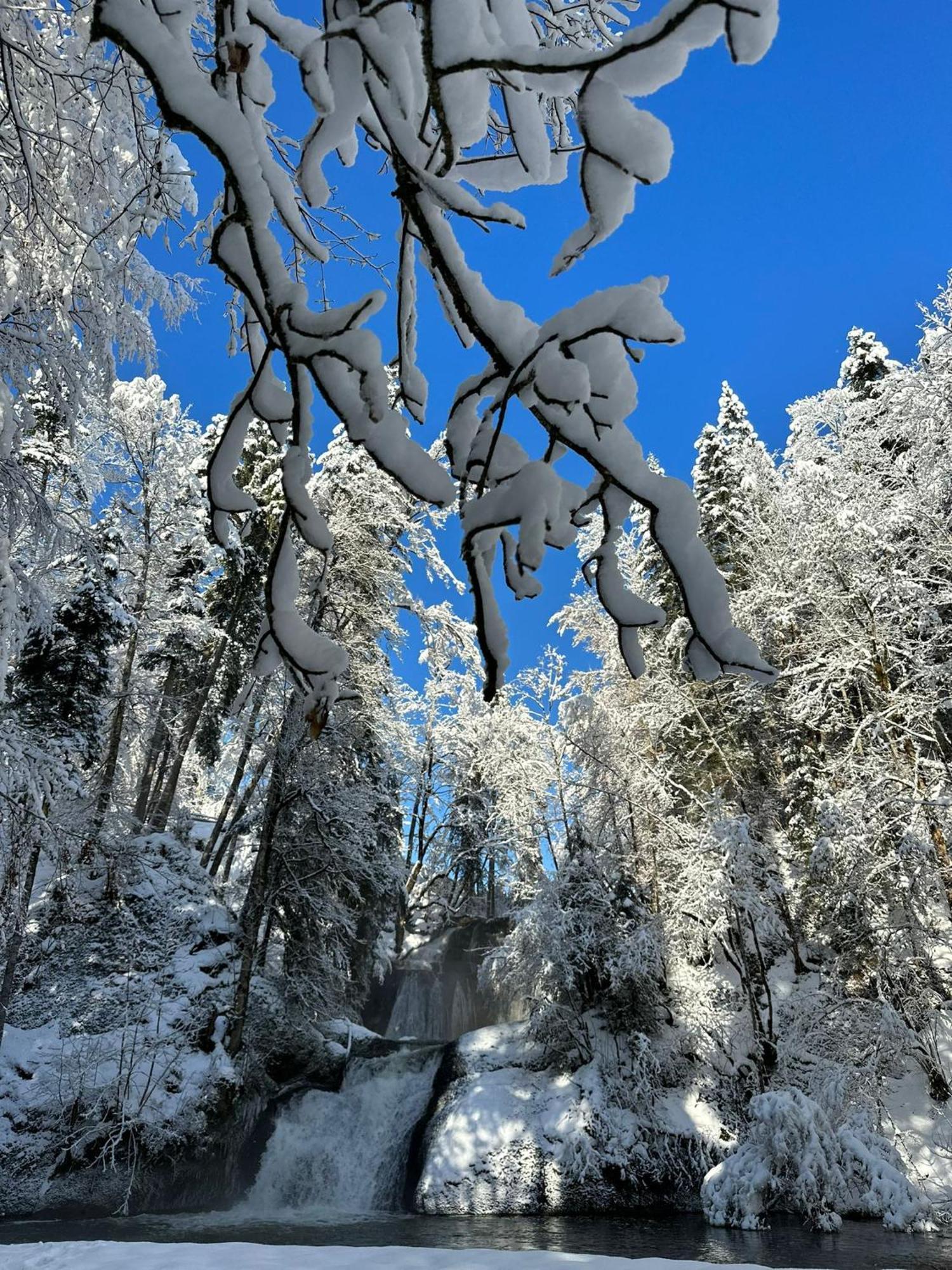 Landhaus Eibelesee Oberstaufen Exteriör bild